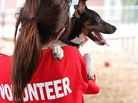 ��������! �� ���� ����������, ������� �������� ��������� ��������! 